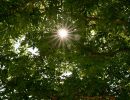 blendenstern licht schatten
