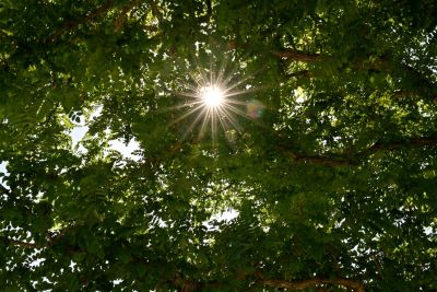 blendenstern licht schatten