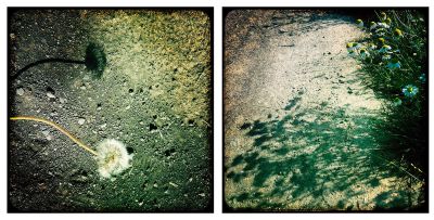 licht und schatten